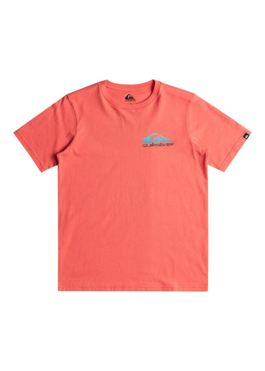 Quiksilver Boys Omni Wave Tee in spiced coral from front