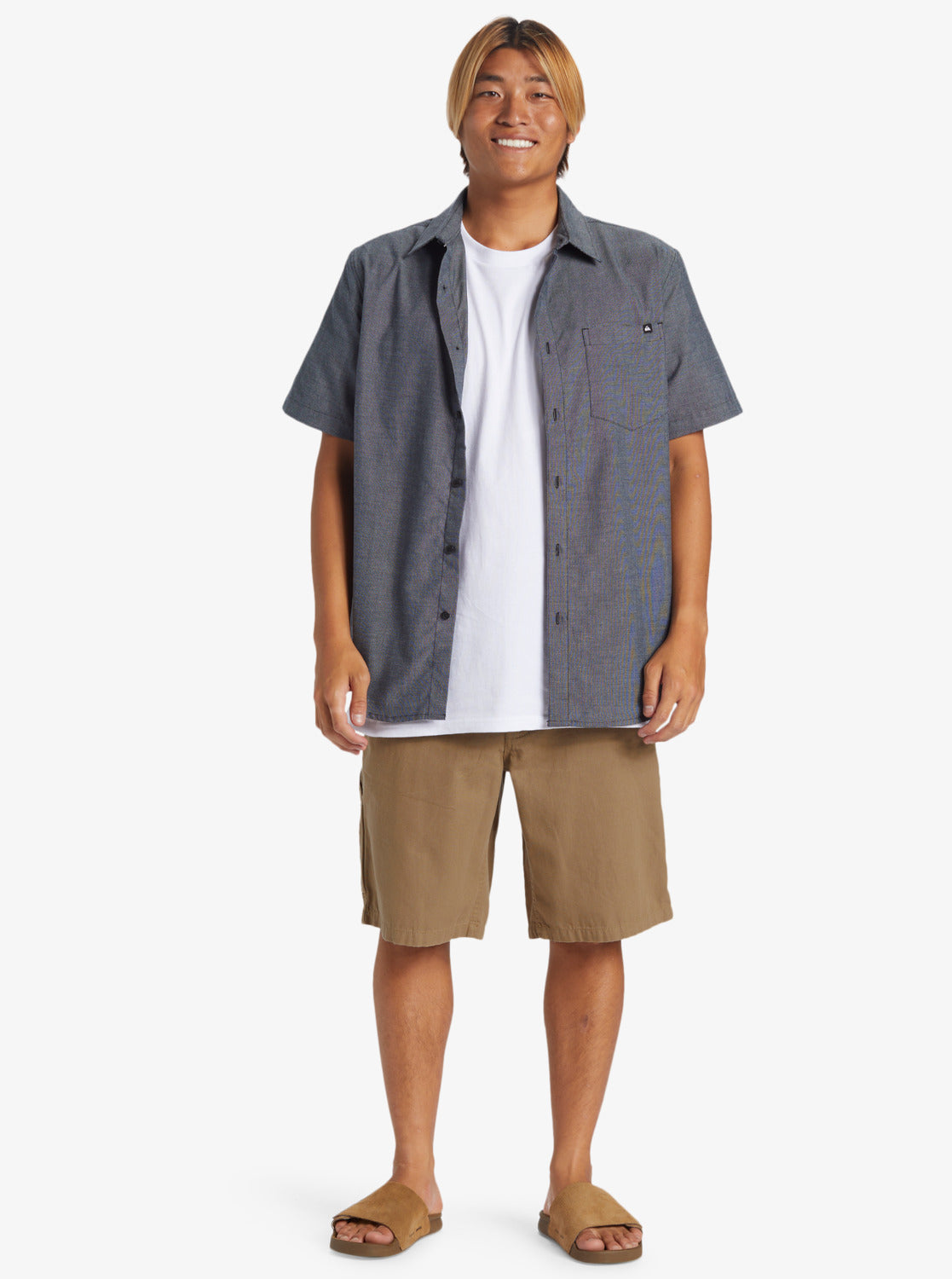 Quiksilver Carpenter Shorts in timber wolf colourway on model from front