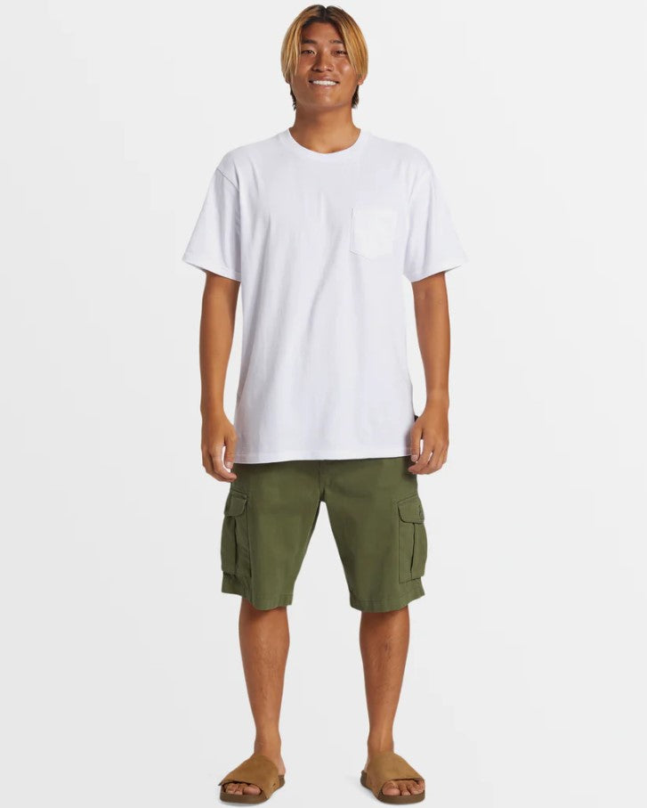 Quiksilver Crucial Battle Cargo Shorts in four leaf clover colour from front