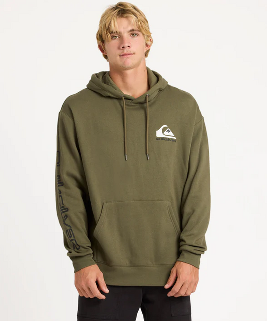 Quiksilver Omni Logo Mens Hoodie in grape leaf green colourway on model from front