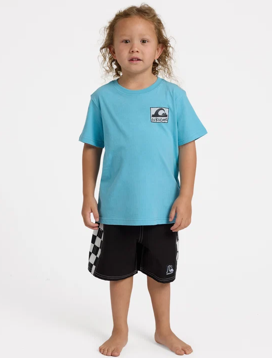 Quiksilver Pitted Boys Tee in light blue on model from front