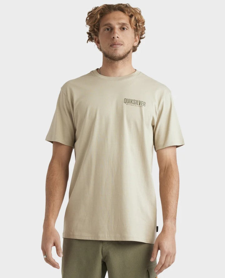 Quiksilver Watermans Fish On T-Shirt  in cloudy gray from front