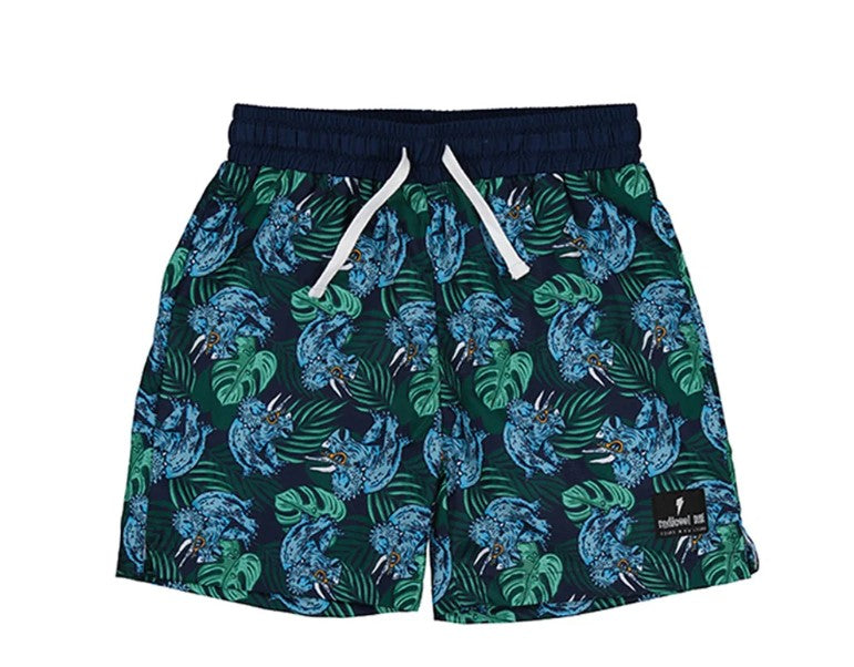 Radicool Kids Tropical Dino Boardshorts close up front shot