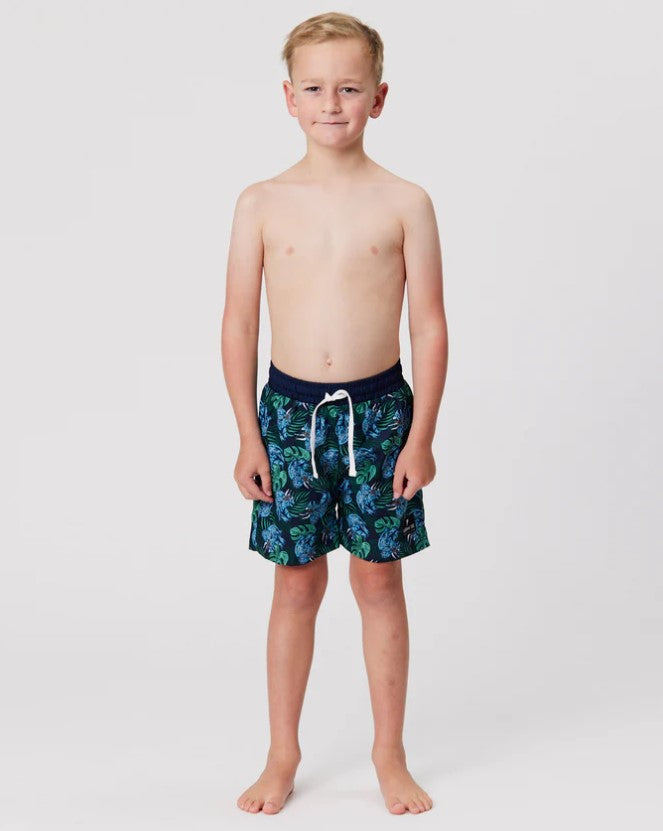 Radicool Kids Tropical Dino Boardshorts in multi colour from front on model