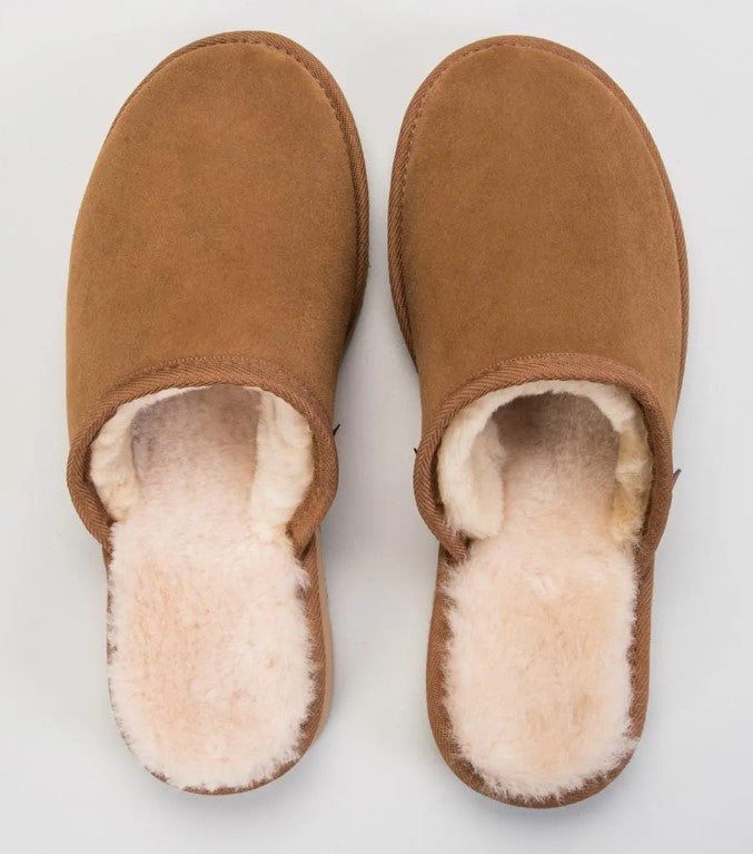 Rip Curl Classic Slugga Slippers in chestnut colour from front