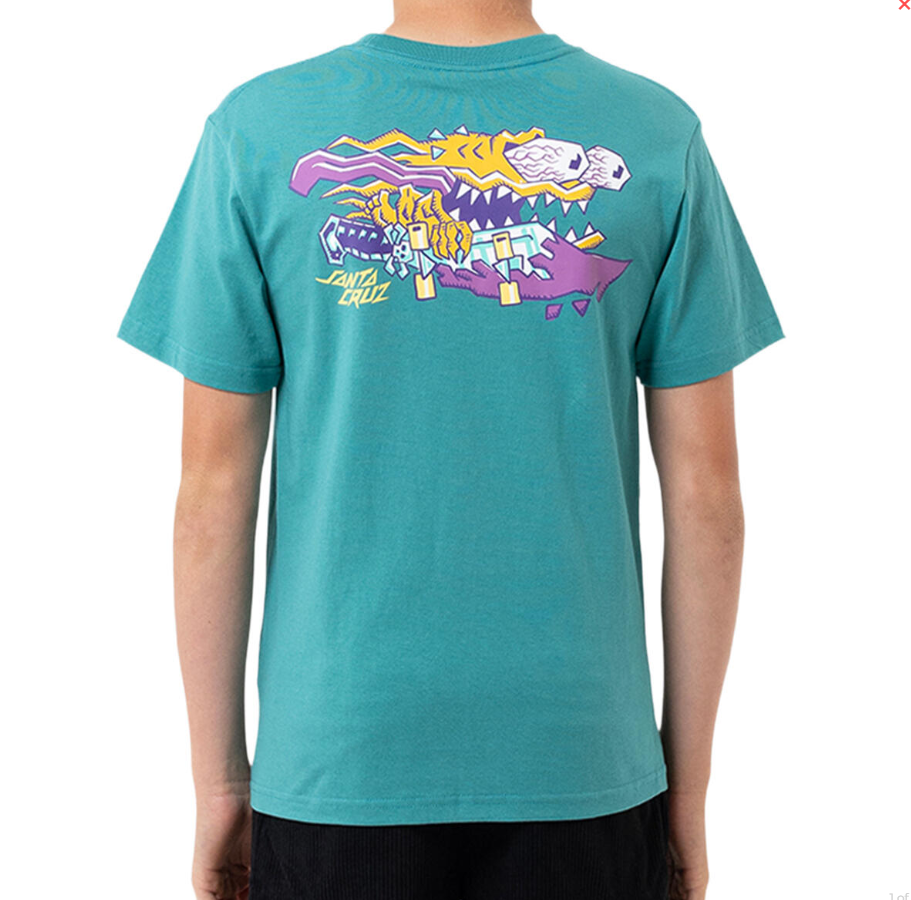 Santa Cruz Youth Meek Scratched Slasher T-Shirt in teal from the back